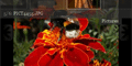 photogallery.hohli.com